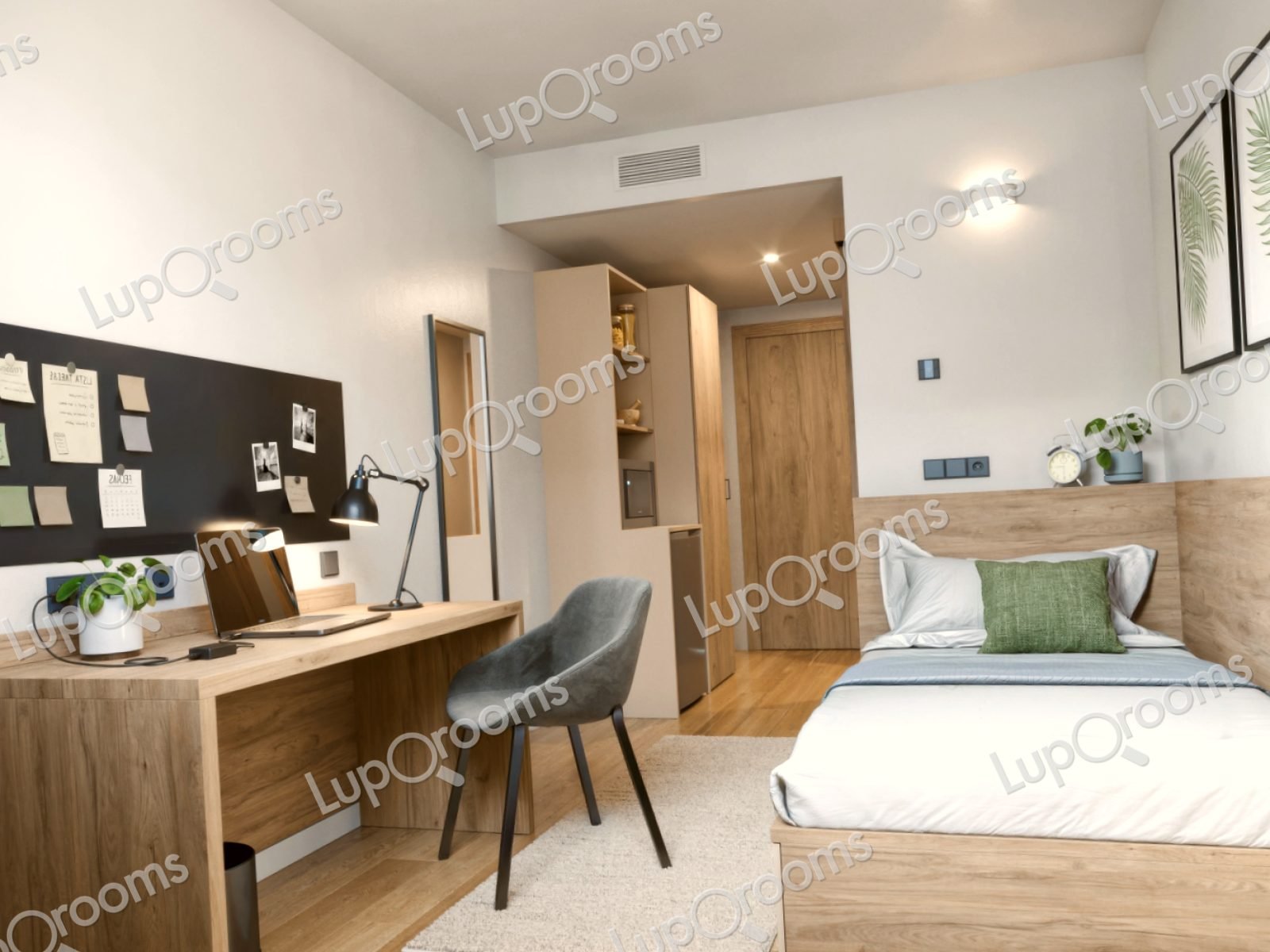 Individual Económica en residencia de estudiantes · Barcelona — 899 €/ay | Lupo Rooms
