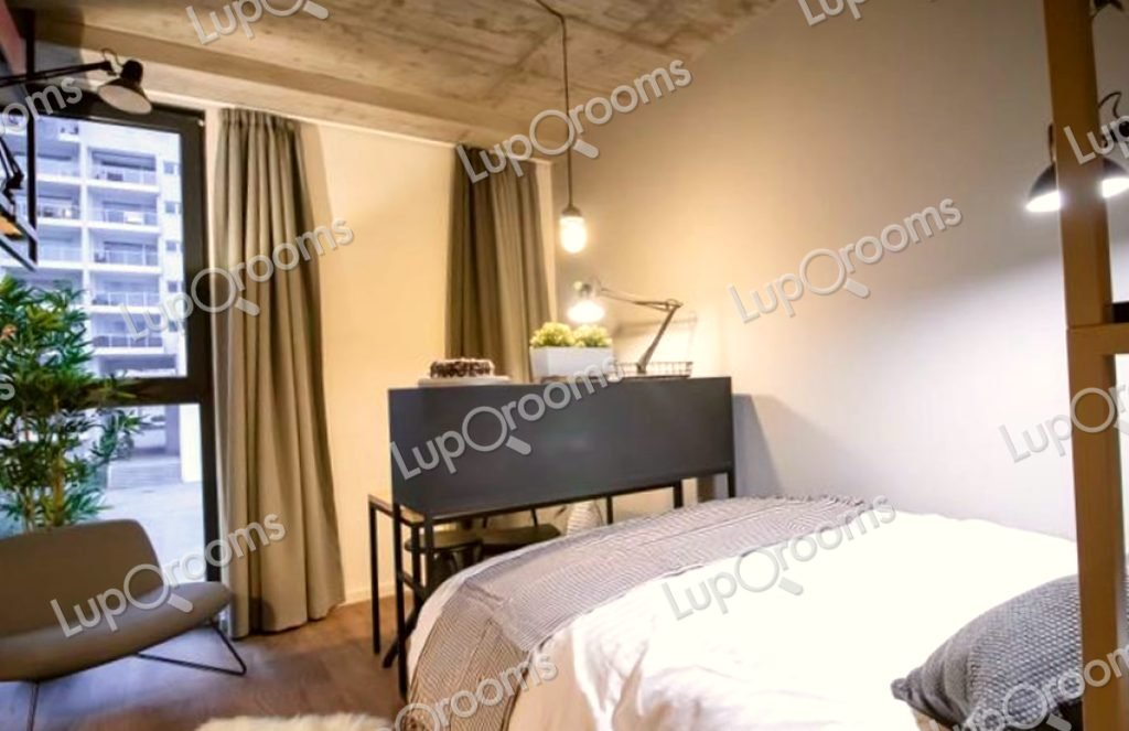 Klassisch im Studentenwohnheim in Porto — 734 €/Monat | Lupo Rooms