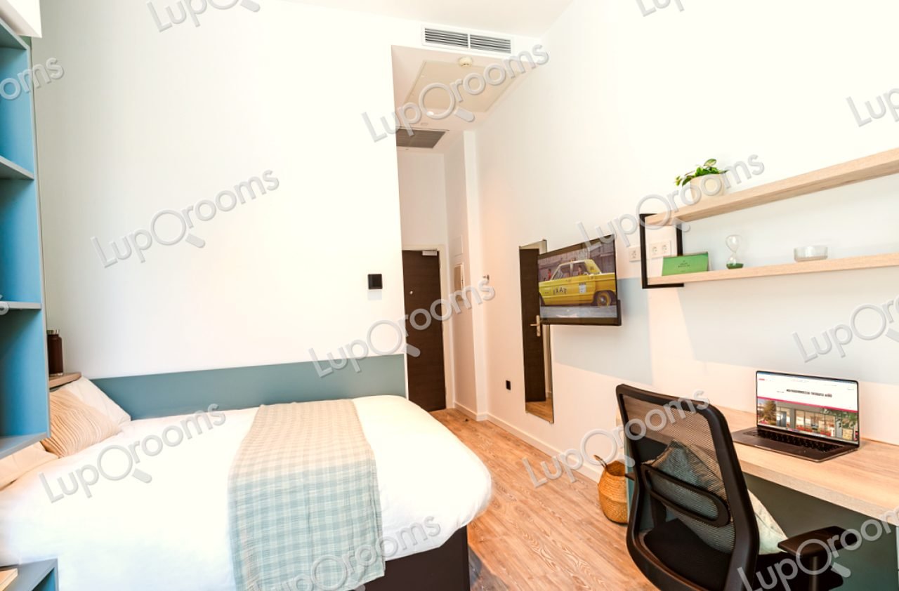 Estudio Classic en residencia de estudiantes en Madrid — 1850 €/mes | Lupo Rooms
