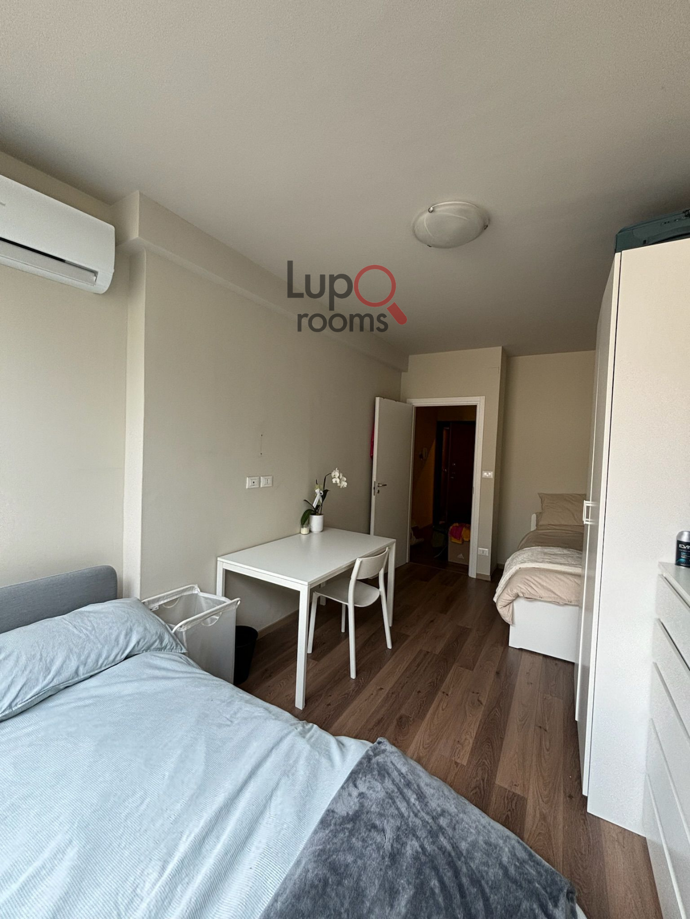 Se alquila habitación compartida o individual muy grande muy luminosa en Padova — 800 EUR/mes | Lupo Rooms