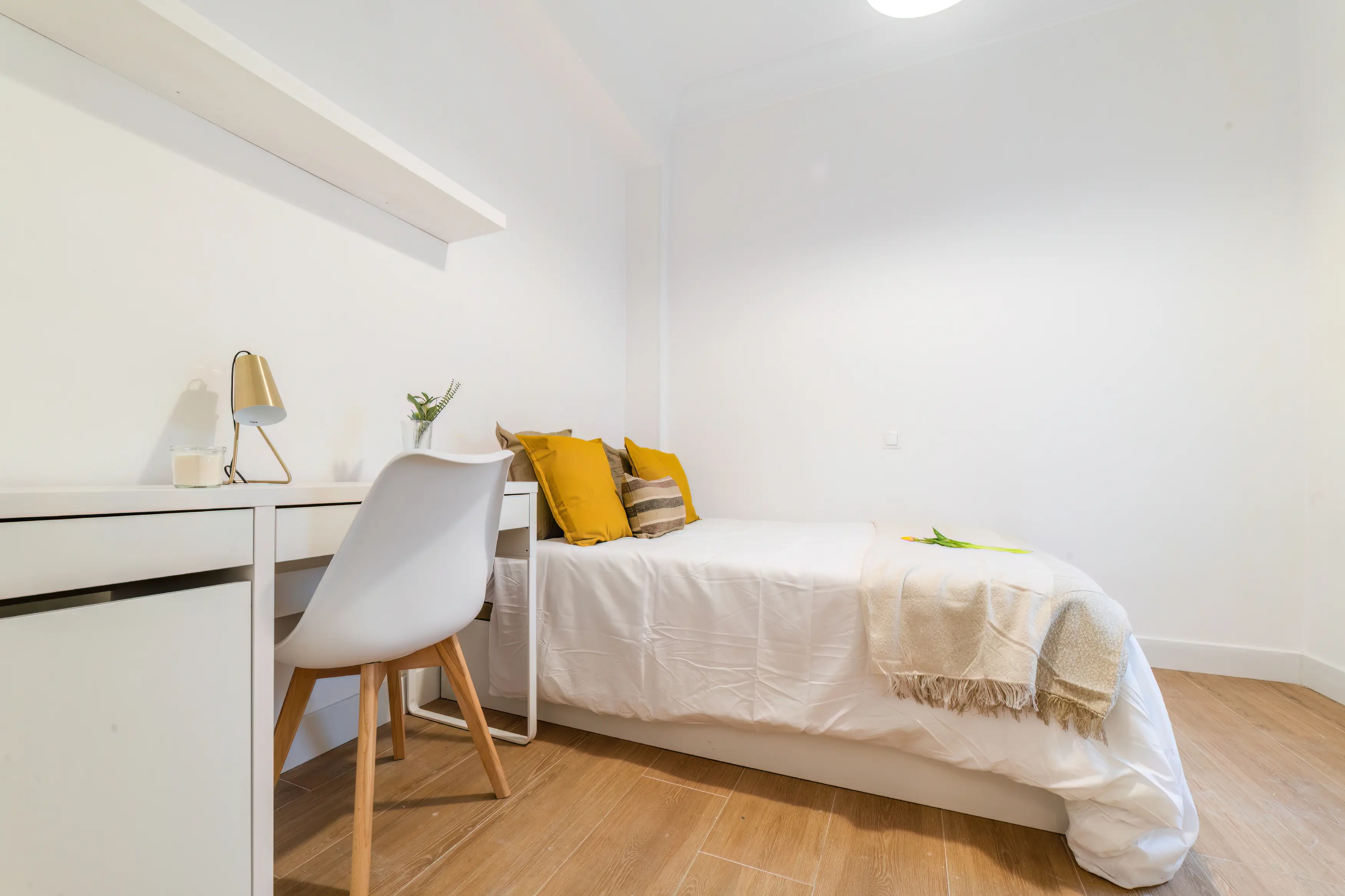 Single room on Doctor Esquerdo Street in Madrid — 720 €/month | Lupo Rooms